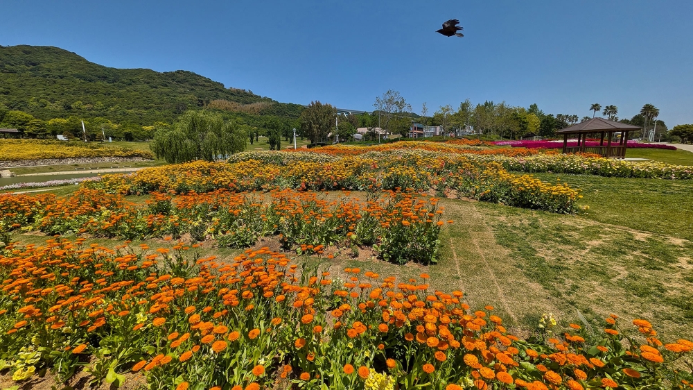 明石海峡公園1