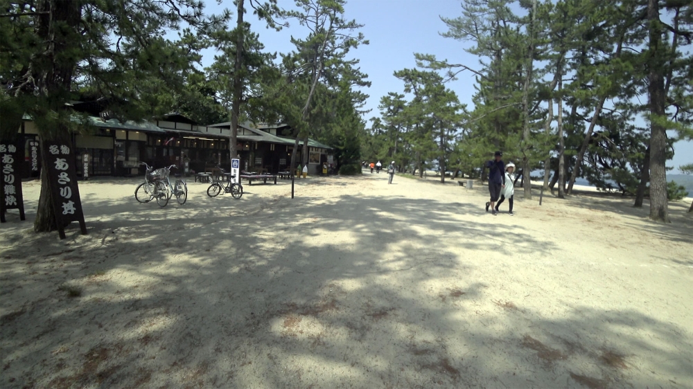 天橋立