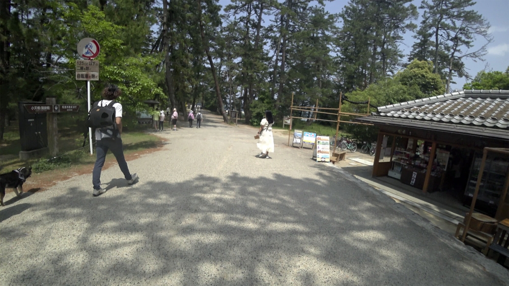 天橋立小天橋広場