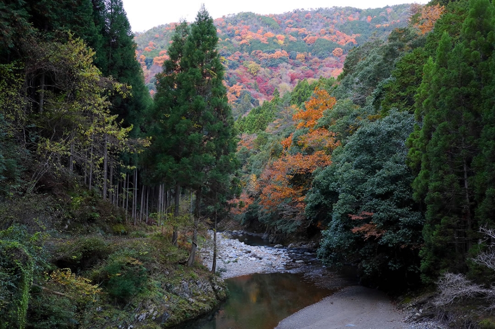 紅葉の保津川峡谷