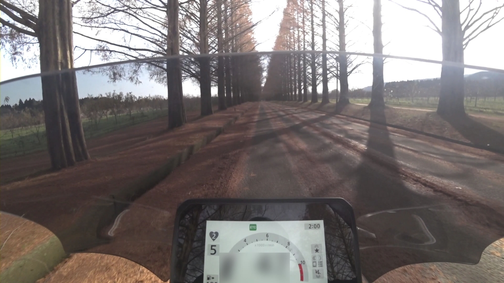 CB1000Fメタセコイア並木