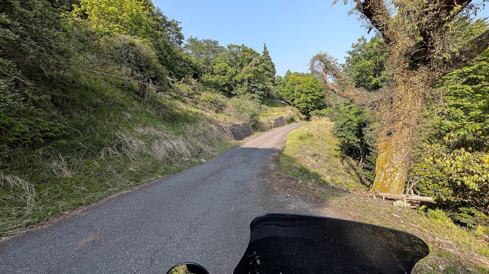 Dio110と山道