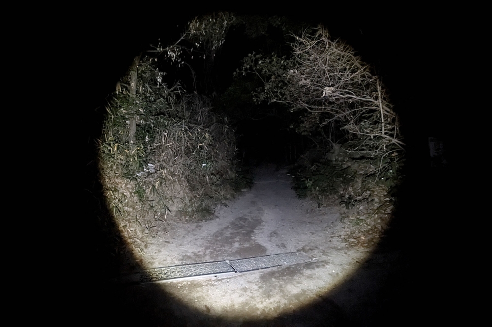 夜の伏見稲荷大社の山道