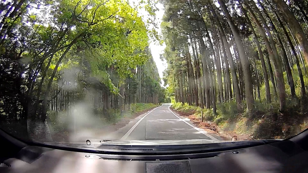 GRヤリスの山道走行