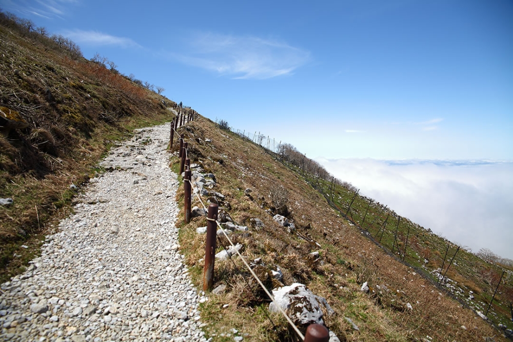 伊吹山西登山道
