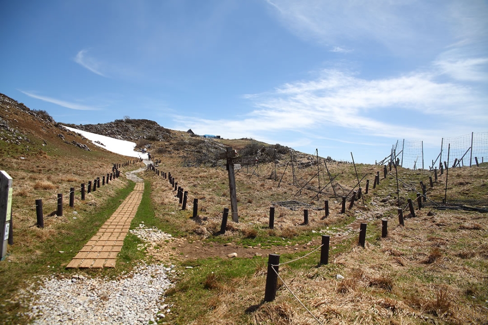 伊吹山西登山道の分かれ道