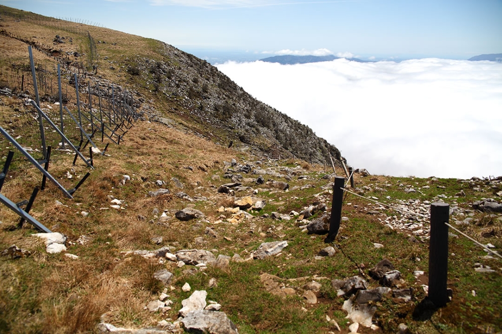 伊吹山西登山道上野登山道方面2