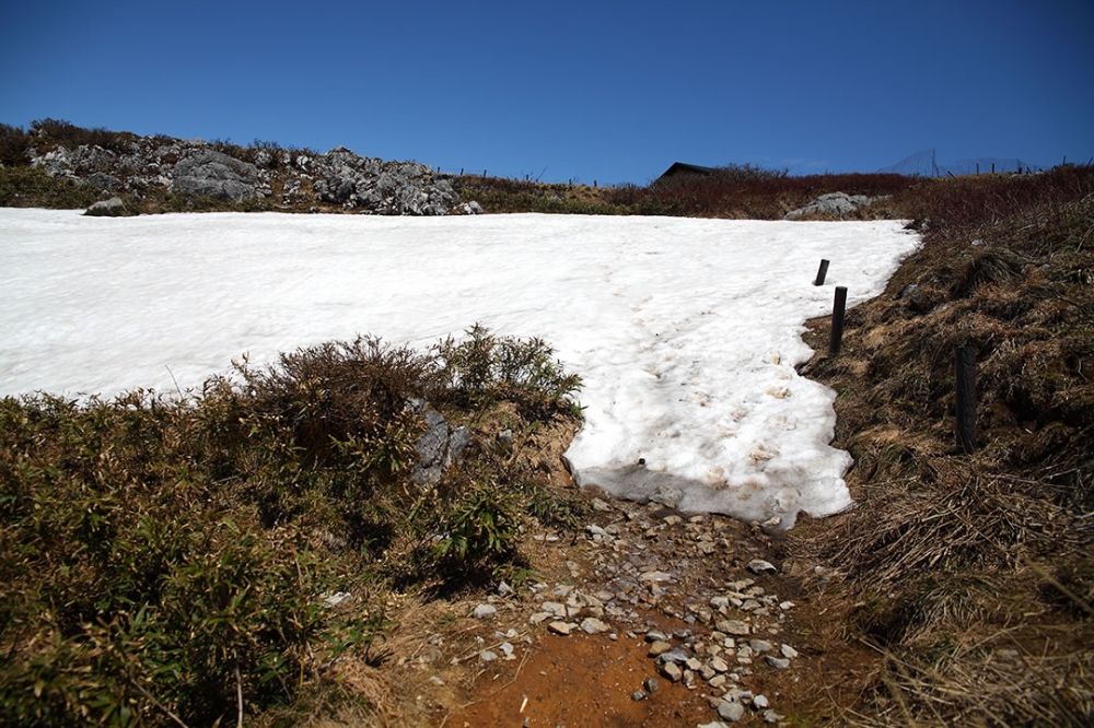 伊吹山登山道と雪解け