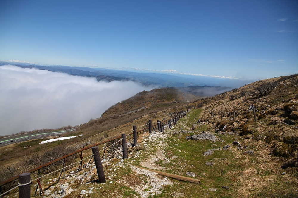 伊吹山中央登山道