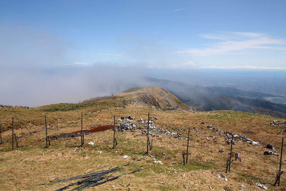 伊吹山東登山道方面
