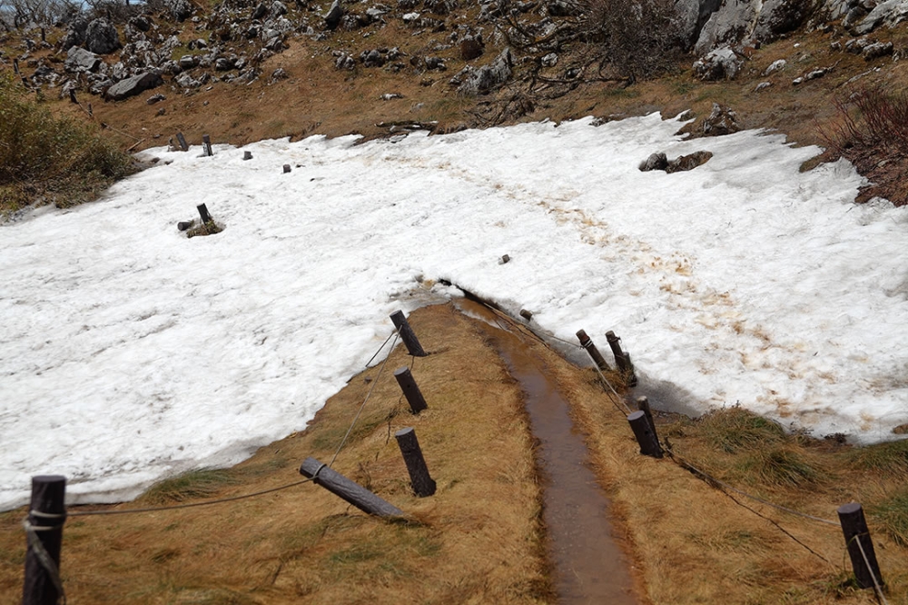 伊吹山東登山道と雪