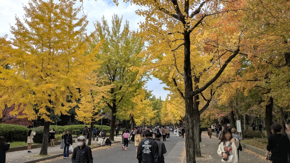 秋の大阪城公園