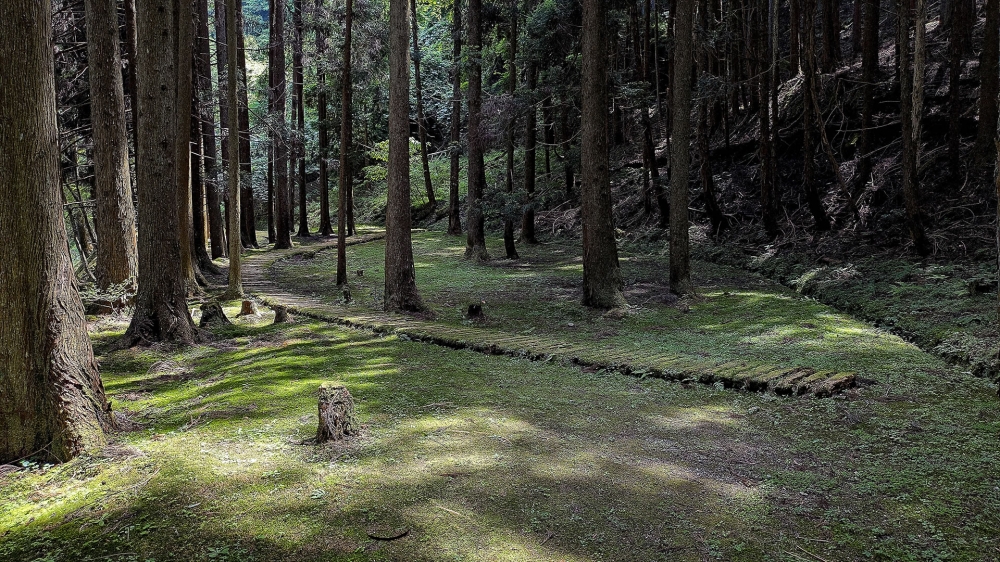 室生山上公園芸術の森8