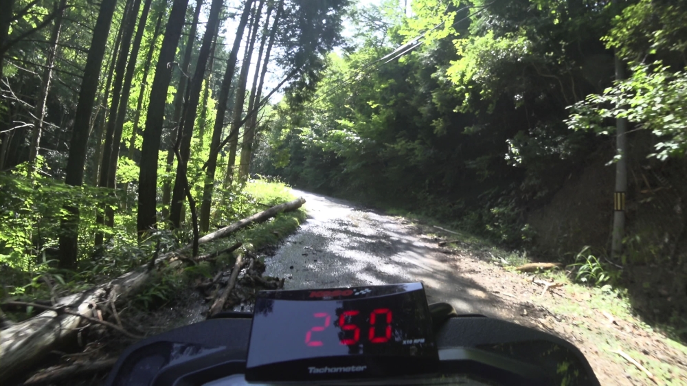 奈良の林道とKLX230