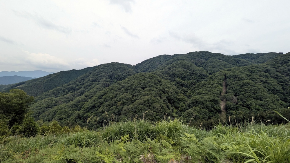 山頂の眺め