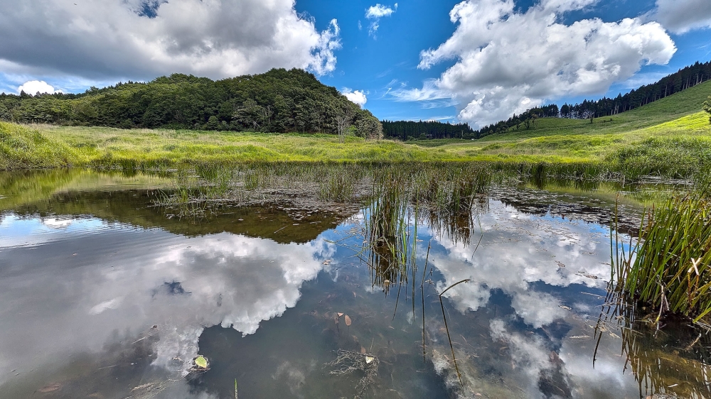 砥峰高原の池2