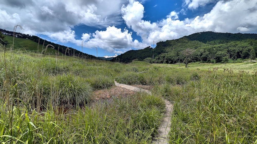 砥峰高原の小川