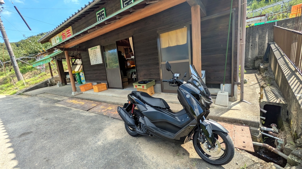 NMAX155と鳥取の梨農園