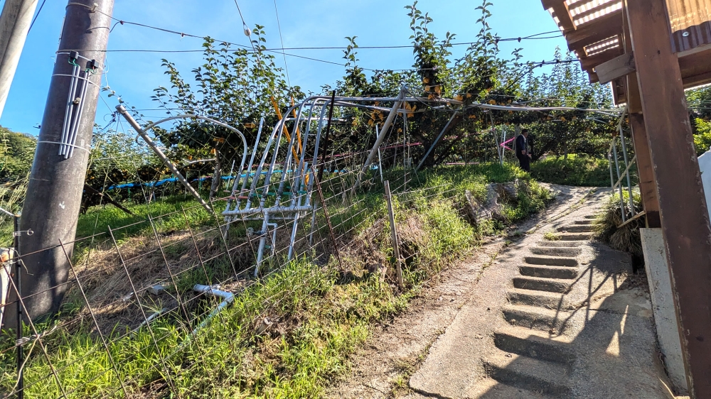 梨農園の入口