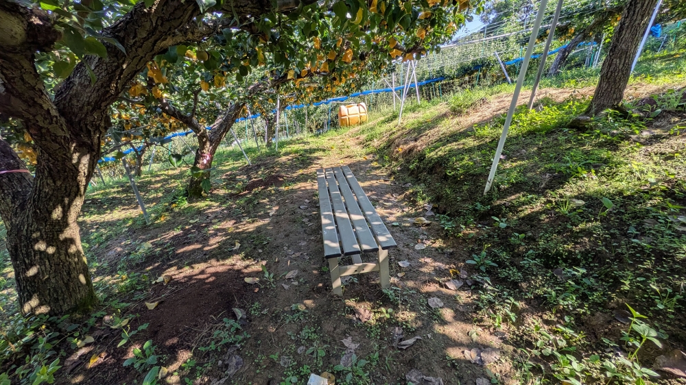 梨狩りのベンチ