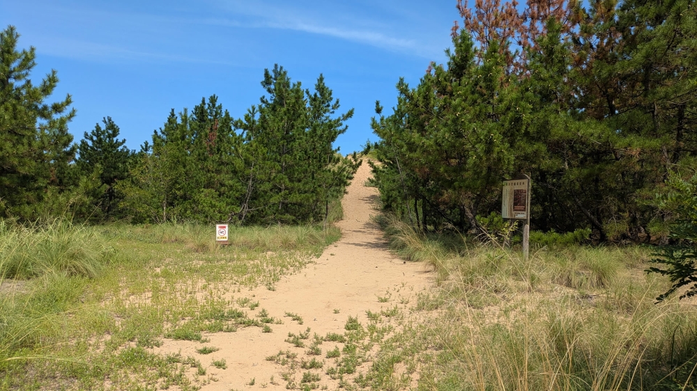 鳥取砂丘の入口