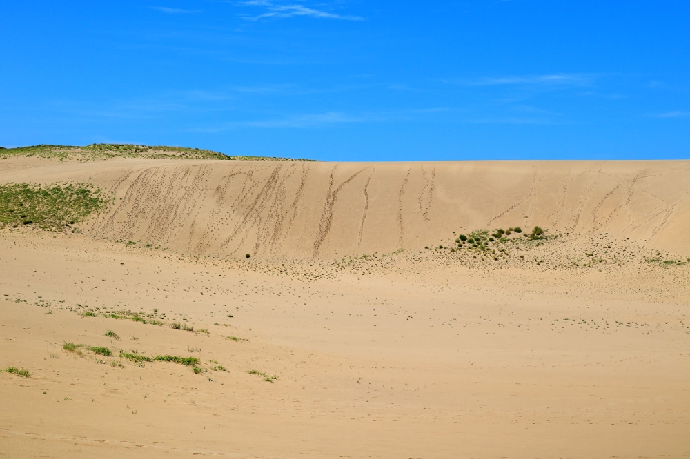 鳥取砂丘