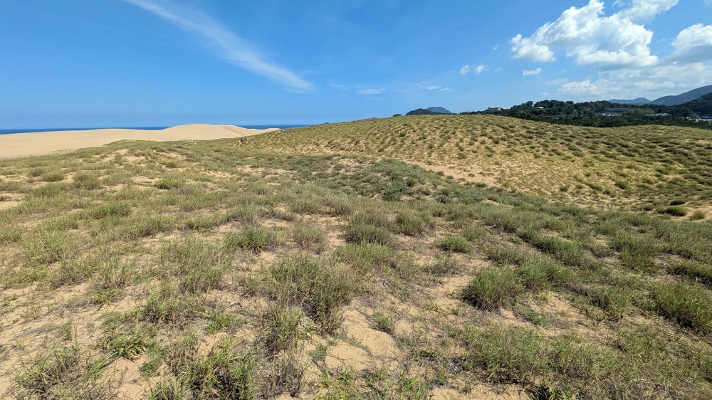 鳥取砂丘の緑化