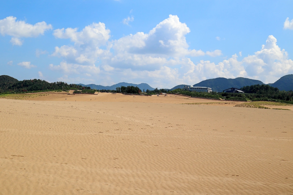 鳥取砂丘の東側