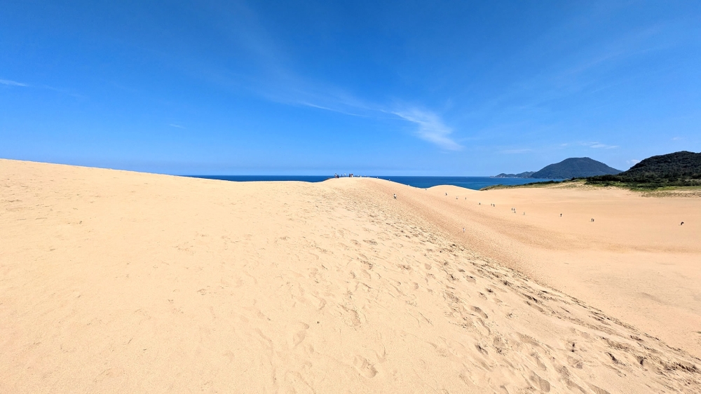 鳥取砂丘の馬の背