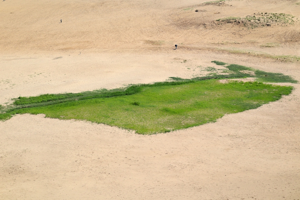 鳥取砂丘の干上がったオアシス
