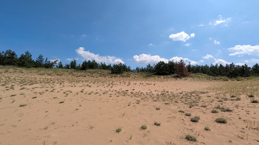 鳥取砂丘の帰り道