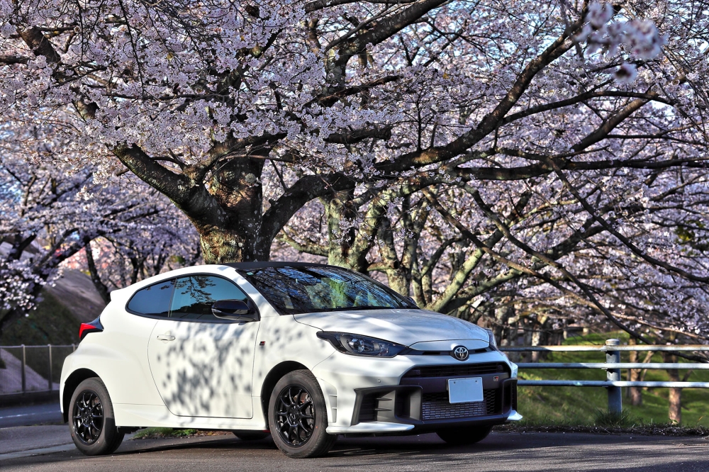GRヤリスと桜
