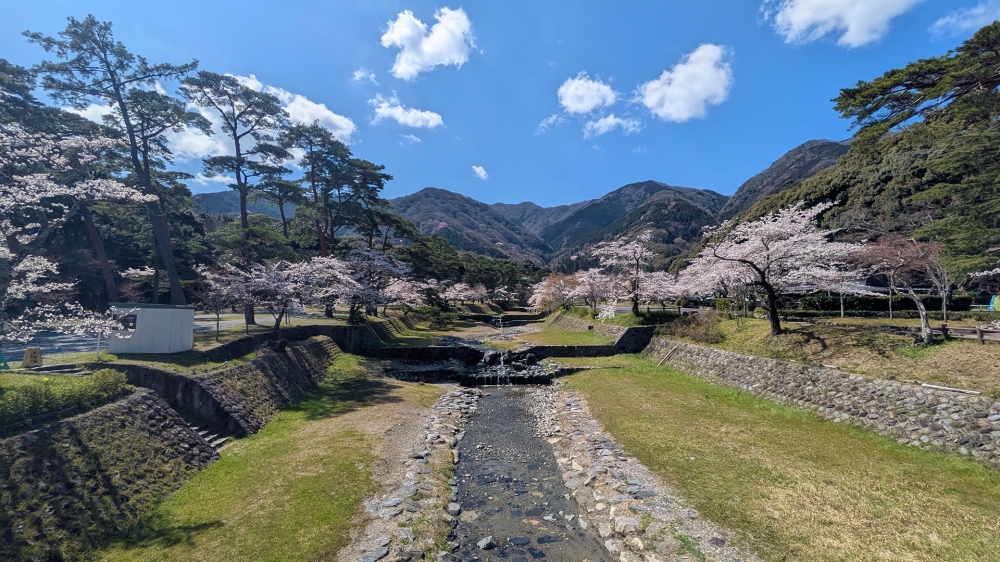 春の養老公園の川