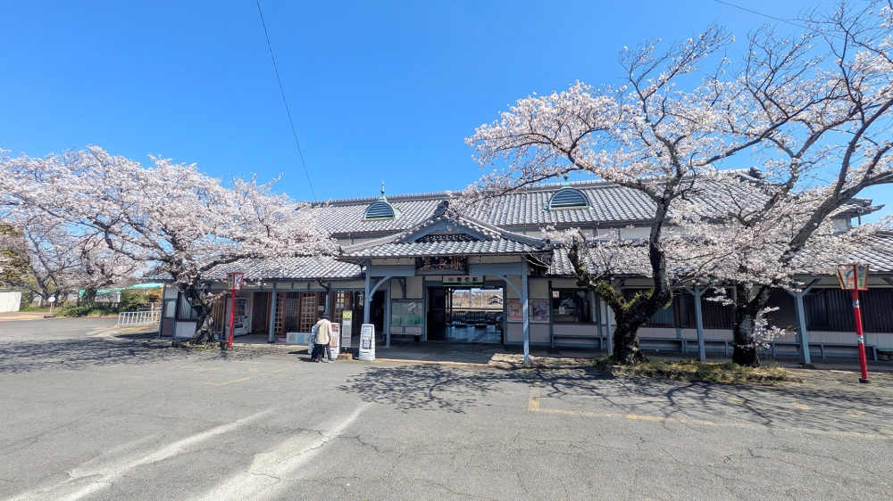 春の養老駅