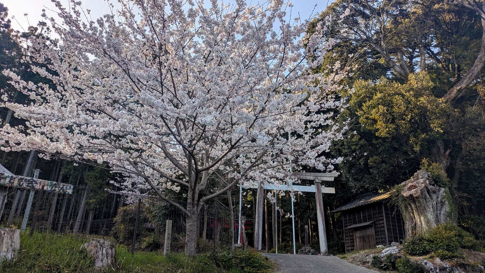 大神宮燈明